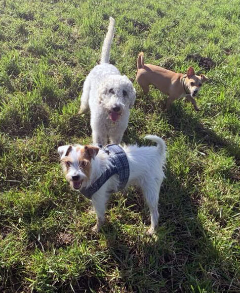 Some of the gang